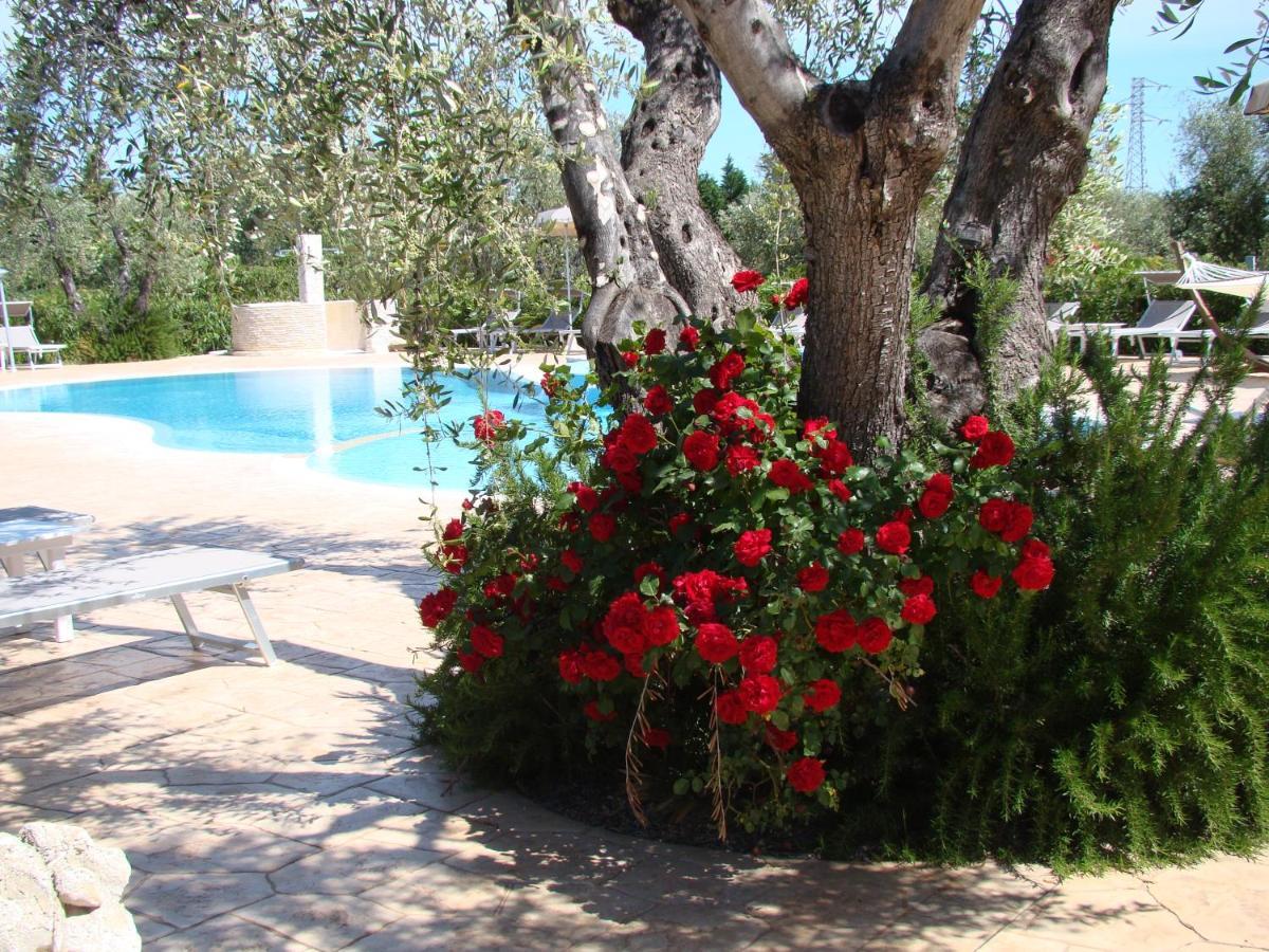 Agriturismo I Tesori Del Sud Vieste, Puglia Екстериор снимка